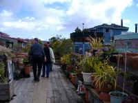 image029.jpg (970752 Byte)