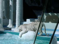 image055.jpg (995328 Byte)