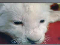 image061.jpg (987136 Byte)