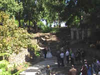 image101.jpg (229376 Byte)